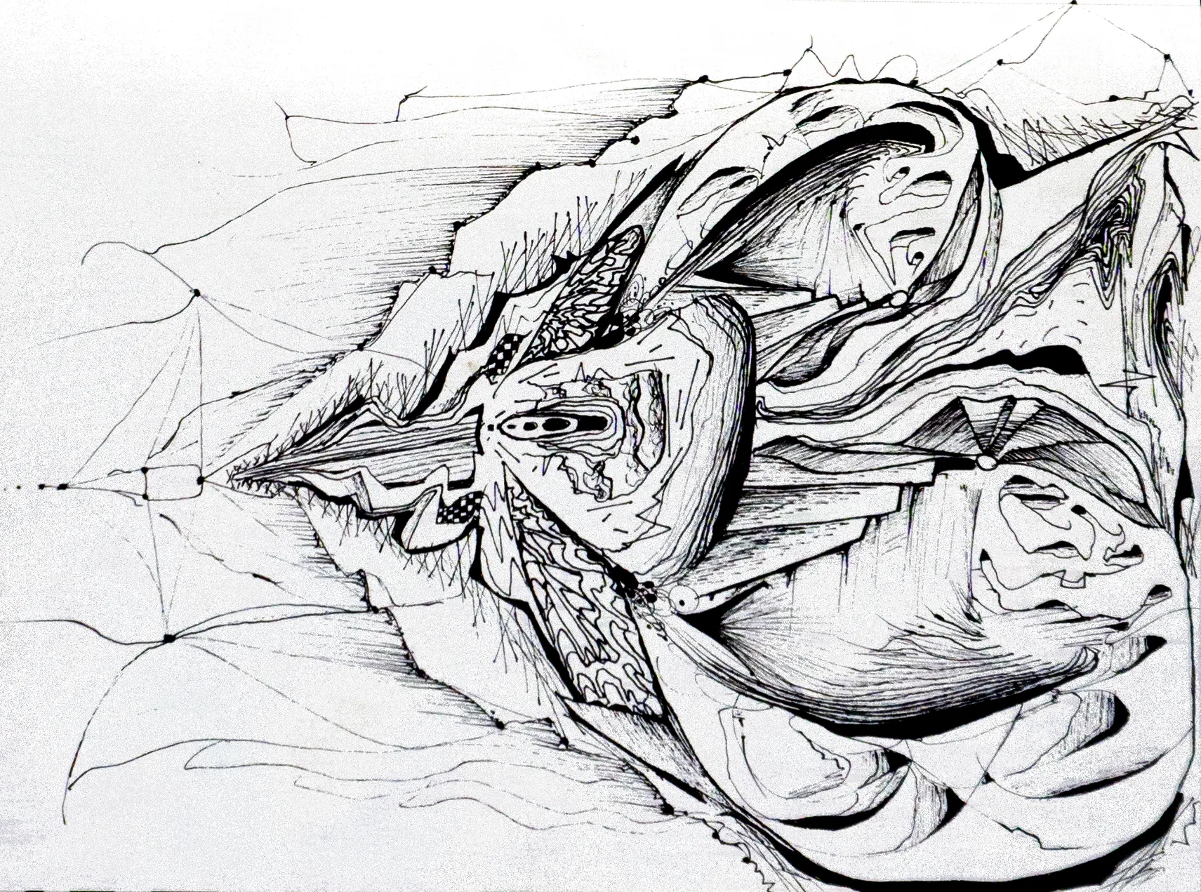 Vulva spaceship